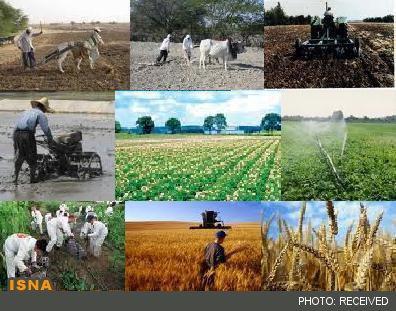 بررسی تاثیر کشاورزی بر توسعه یافتگی و امنیت ملی