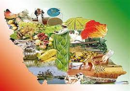مخالفت تشکل های بخش کشاورزی با مصوبه هیات وزیران برای واگذاری تعاون روستایی