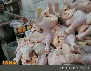 آیا مرغ‌های کشتار تهران آلوده است؟