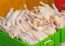 نتایج آزمایش‌ سلامت گوشت مرغ‌ به زودی اعلام می‌شود