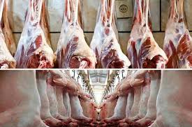واردات مرغ و گوشت کشور دست چند نفر است؟ 