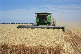افزایش 65 درصدی تولید گندم استان تهران به رغم کاهش 7 درصدی سطح کشت