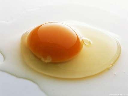 تعیین قیمت تخم‌مرغ تا هفته آینده