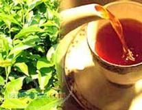 ایران چهارمین مصرف کننده چای در جهان