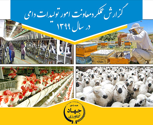 گزارش کامل عملکرد معاونت امور تولیدات دامی وزارت جهاد کشاورزی منتشر شد+ آمار