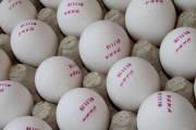 هر عدد تخم مرغ تازه ، حداکثر 330 تومان