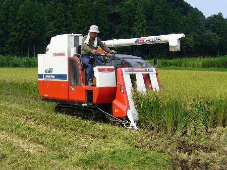 توسعه مکانیزاسیون 40 درصد هزینه های تولید برنج را کاهش می دهد