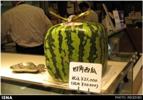 گران‌ترین میوه‌های دنیا در ژاپن + تصاویر 