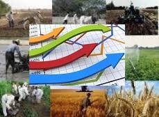 تورم ۲.۲۵ درصدی بخش تولید کشاورزی