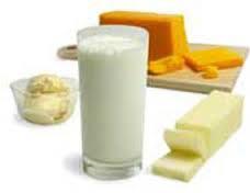 گرانی محصولات لبنی روزانه شده است/ گرانی شیر سلامت جامعه را تهدید می‌کند
