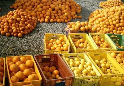 قیمت میوه‌ شب‌ عید تعیین شد/سیب۳۸۵۰ و پرتقال ۱۷۵۰ تومان