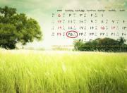 آمادگی وزارت جهاد کشاورزی برای بازگرداندن روز گل به تقویم