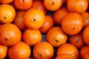 تامین پرتقال شب عید بدون افزایش قیمت