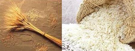 هند 18 میلیون تن برنج و گندم صادر می‌کند