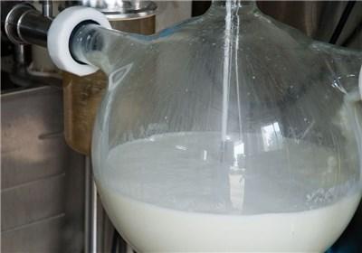 پرداخت مابه‌التفاوت قیمت شیر ۱۳۰۰ تومانی از فردا در استانها