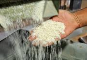 دلیل نبود برنج ایرانی در سبد کالا/انبارها پر از برنج وارداتی است!