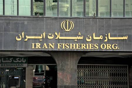 همکاری های دوجانبه شیلات ایران و عمان گسترش می یابد