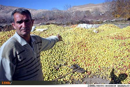 ۴ اقدام مهم که کشاورزی ایران را در سال 93 متحول می‌کند
