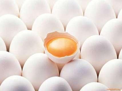 ذخیره گردشی 10 هزار تنی تخم‌مرغ برای صادرات و سبدکالا