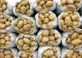 صادرات 115 هزار تنی سیب‌زمینی پاکستان به ایران