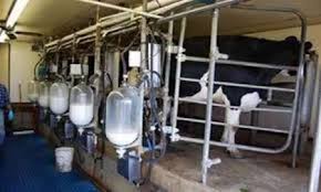 زنگ خطر کاهش تولید شیر خام به صدا در آمد/ فاصله 10 هزار تنی تولید و خرید شیر خام از سوی کارخانه‌ها