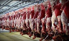 حقوق ورودی گوشت گوساله یک سوم شد