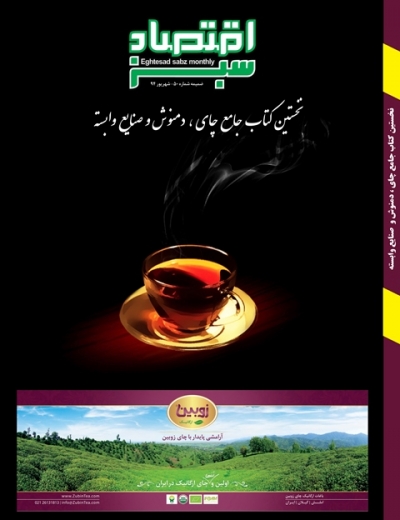چای داغ در مزرعه اقتصاد سبز دم کشید! /کتاب جامع چای منتشر شد! 