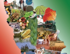 کارنامه تجارت خارجی محصولات کشاورزی منتشر شد/ صادرات بیش از 3 میلیارد دلاری و کاهش 27 درصدی واردات