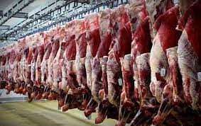 قیمت گوشت گوسفندی اعلام شد/ احتمال افزایش قیمت گوشت در نیمه دوم سال/ امسال ذبح دام بیش از حد است