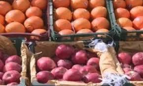 درخواست کشاورزان از معاون اول رئیس جمهور برای اجازه صادرات سیب و پرتقال
