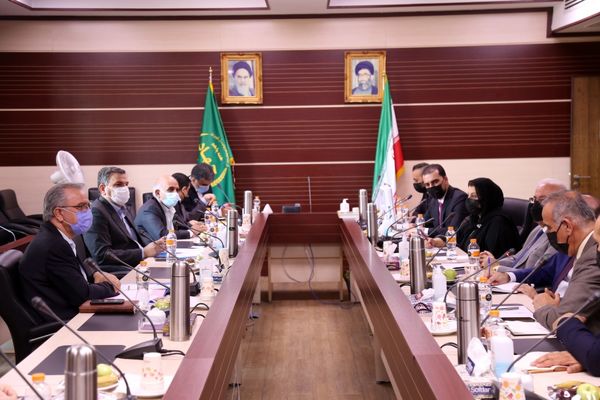 همکاری ایران و اقلیم کردستان عراق برای صادرات محصولات دامی