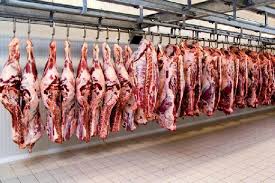 تولید گوشت قرمز ١٩ درصد افزایش یافت