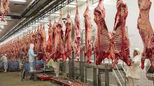 آخرین وضعیت بازار گوشت قرمز/ بیشترین گوشت‌های بازار؛ برای دام‌های مولد است