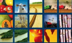 کاهش ۱۶ درصدی صادرات محصولات کشاورزی/ افزایش 52 درصدی صادرات محصولات شیلاتی 