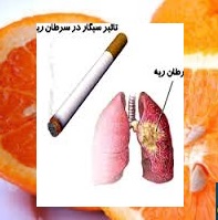 تاثیر رنگدانه موجود در میوه‌ها برای افراد سیگاری