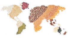 دورنمای ده ساله قیمت جهانی مواد غذایی و محصولات کشاورزی 
