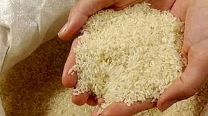 دپوی ۳۱ هزار تن برنج در گمرک/ گرانی ها به برنج هم رسید
