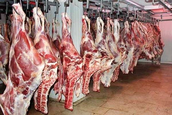 واسطه‌ها اجازه کاهش قیمت گوشت را نمی‌دهند