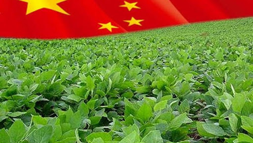 چینی ها با این مدل بیمه کشاورزی، قطب تولید کشاورزی جهان شدند