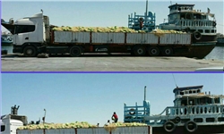 صادرات 200 تن هنداونه به قطر