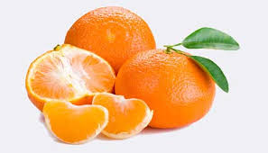 نارنگی ایرانی فاقد هر گونه آفت است/ مجوز واردات مرکبات نداده‌ایم 