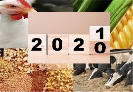 چشم انداز جهانی صنعت خوراک دام و طیور برای سال 2021