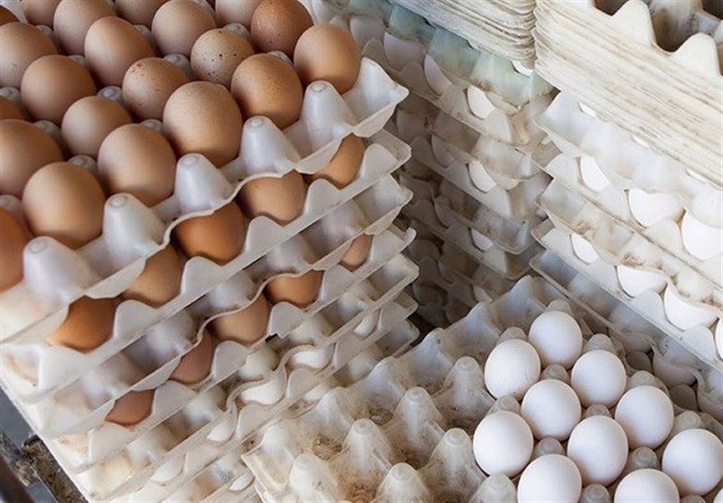 تخم‌مرغ رسماً ۱۵ درصد گران شد/گرانفروشی ۳ هزار تومانی در بازار
