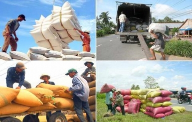 واردات 20 میلیون تنی در مقابل صادرات چهار میلیون تنی محصولات کشاورزی +جدول اقلام 