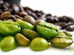 برای لاغر شدن قهوه سبز بنوشید