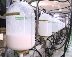 موافقت وزارت جهاد کشاورزی برای خرید موقت شیرخام در ایام نوروز