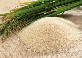 کاهش 50 درصدی واردات برنج ممنوعه/ سهم 84 درصدی برنج هندی!