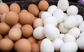 تولید تخم مرغ بیش از نیاز است/ ترکیه نفس صادرات ایران را گرفت