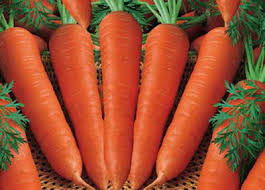 چند دلیل تعجب آور برای مصرف هر روزه هویج