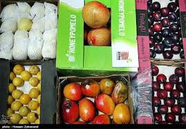 ۲۰ آفت خطرناک با میوه قاچاق وارد کشور شده است